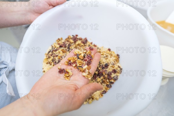 Hands holding a mix of nuts and dried fruit in a white bowl, Christmas baking, Haselstaller Hof, Wildberg, Germany