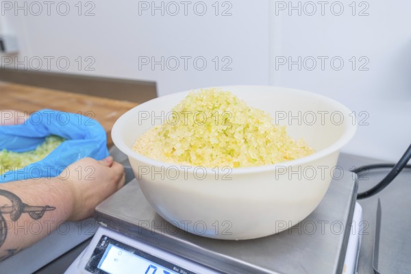 Person holding bags while bowl of sugar is on the scale in a kitchen, Christmas baking, Haselstaller Hof, Wildberg, Germany