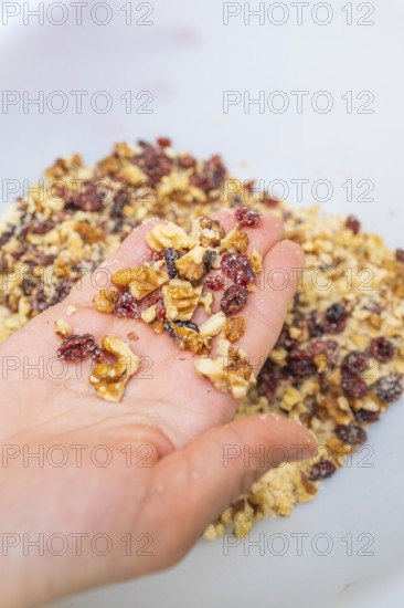 A hand holding a mix of nuts and berries in a bowl, Christmas baking, Haselstaller Hof, Wildberg, Germany