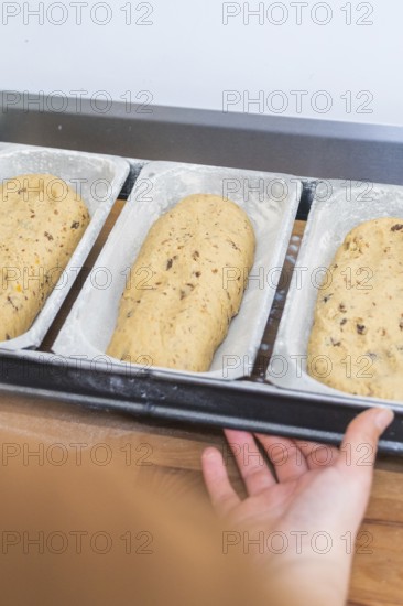 Three loaves of bread dough on a tray, prepared for baking, Christmas baking, Haselstaller Hof, Wildberg, Germany