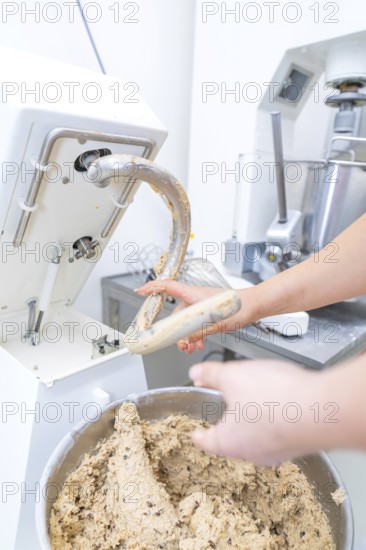 Baker works with a food processor, kneads dough in a bowl, Christmas baking, Haselstaller Hof, Wildberg, Germany