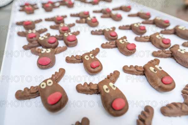 Chocolate chip cookie reindeer with red noses prepared for decoration on a kitchen table, Christmas baking, Haselstaller Hof, Wildberg, Germany