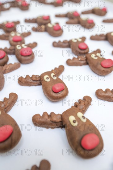 Close-up of chocolate reindeer molds with red noses made of praline chocolate, Christmas baking, Haselstaller Hof, Wildberg, Germany