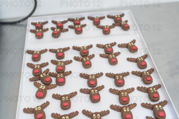 Creative reindeer chocolate chip cookies with red noses and white eyes on a baking tray, Christmas baking, Haselstaller Hof, Wildberg, Germany