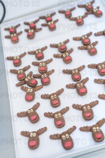 Lots of cute reindeer chocolate chip cookies with red noses arranged on a tray, Christmas baking, Haselstaller Hof, Wildberg, Germany