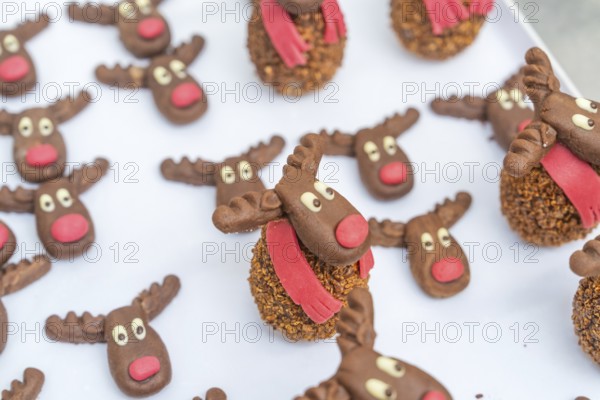 Handmade reindeer cookies made of chocolate with red and white details, decorated, Christmas baking, Haselstaller Hof, Wildberg, Germany