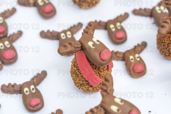 Reindeer chocolate chip cookies with red noses and white eyes, presented on a white background, Christmas baking, Haselstaller Hof, Wildberg, Germany