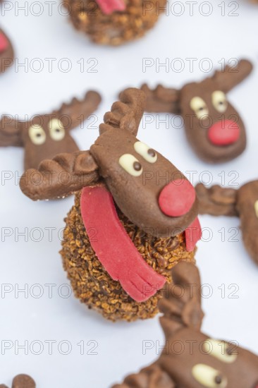 Reindeer shaped chocolate cookie with red nose and white background, Christmas baking, Haselstaller Hof, Wildberg, Germany