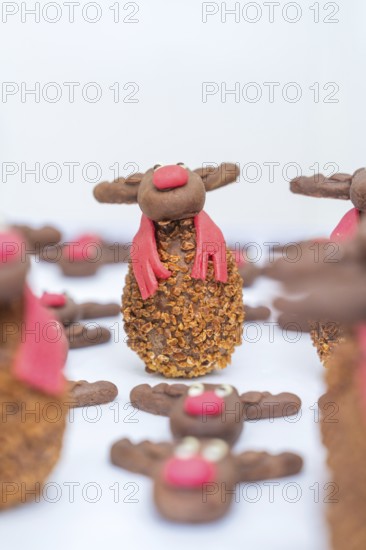 Handmade chocolate reindeer cookies with red and white details on a white background, Christmas baking, Haselstaller Hof, Wildberg, Germany