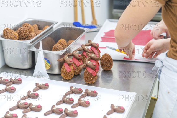 Chocolate brown reindeer cookies with red scarves are prepared in a bakery, Christmas baking, Haselstaller Hof, Wildberg, Germany