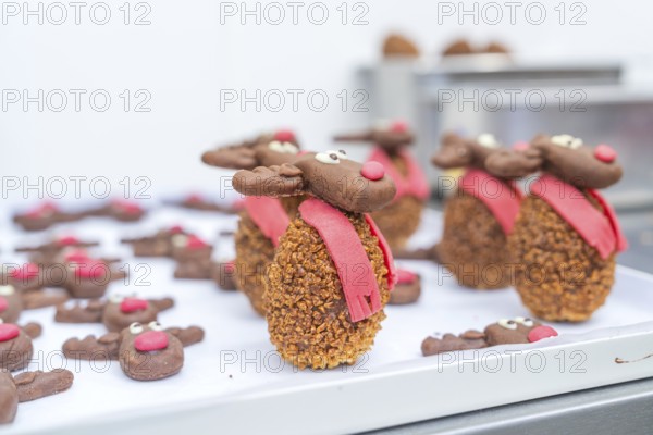 A tray full of reindeer cookies with red noses and scarves in a bakery, Christmas baking, Haselstaller Hof, Wildberg, Germany