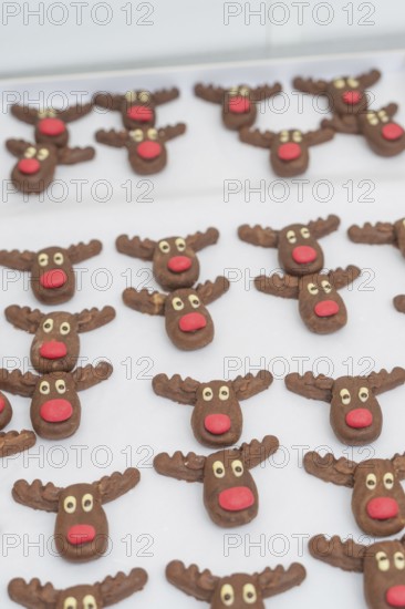 Numerous reindeer chocolate chip cookies with red noses and white eyes on tray, Christmas baking, Haselstaller Hof, Wildberg, Germany