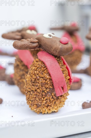 A detailed reindeer cookie with red scarf and nose taken up close, Christmas baking, Haselstaller Hof, Wildberg, Germany