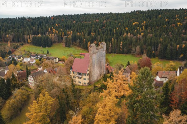 A castle sits majestically in a green meadow surrounded by autumnal forests, Berneck Castle, Altentsteig, Calw District, Germany