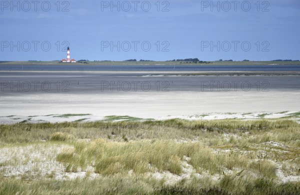Dune landscape near Sankt Peter-Ording, Westerhever lighthouse, North Sea, Schleswig-Holstein, Germany