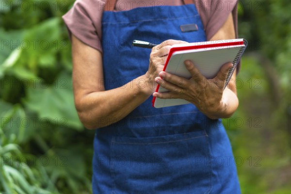 Senior woman in apron holding pen and notebook, carefully recording observations and data about thriving green plants in her organic backyard garden for monitoring and planning
