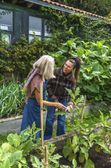 Older mother teaches daughter to prune vegetables in a raised backyard garden bed, sharing gardening skills, laughter and sustainable homegrown food across generations
