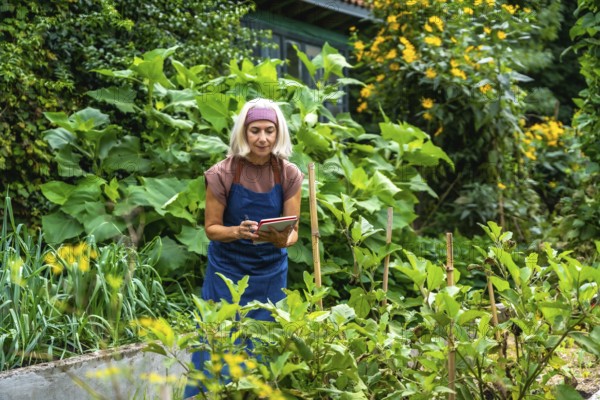 Senior woman gardener in an apron writing notes in a small book, observing healthy plants growing in her vibrant home garden, reflecting a passion for gardening and sustainable living