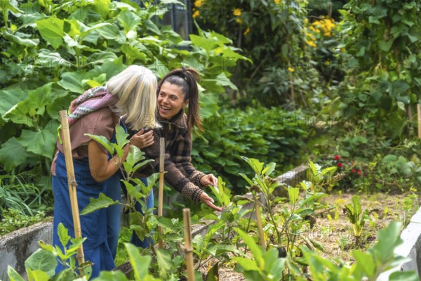 Two women sharing joyful gardening moments in a sunny home garden, tending plants, laughing and bonding across generations while cultivating fresh vegetables and a healthy lifestyle