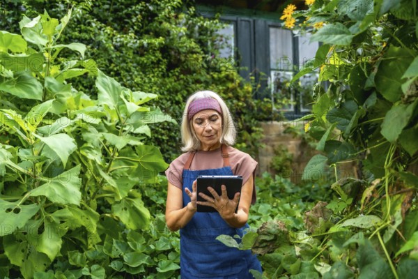 Senior woman in an apron interacting with a digital tablet in a lush outdoor garden, managing horticulture tasks and applying modern technology to her plant cultivation
