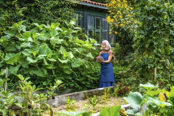 Senior woman in apron tending lush backyard vegetable beds, inspecting plants and jotting notes in a notebook while managing her home garden with care and focus