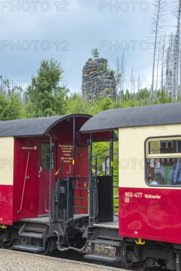 Detail, close-up of the Harz narrow-gauge railways, outdoor area, platform of red and white railway wagons, passenger train at Schierke station against forest backdrop, narrow-gauge railway, rocks, dead wood of common spruce (Picea abies), also common spruce, red spruce, redfir, forest rejuvenation, forest, low mountain range, nature reserve, forest conversion, spruce dying, brocken railway of three Annen Hohne zum Brocken, Harz National Park, Ostharz, Harz, Wernigerode, Harz District, Saxony-Anhalt, Germany