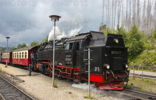 Close-up of a steam locomotive, rails, front of a steaming railway locomotive with wagons, steam locomotive, detail, steam cloud, station track, cloudy sky, Harz narrow-gauge railways, narrow-gauge railway at Schierke station against forest backdrop, dead wood of common spruce (Picea abies), forest, rocks, low mountain ranges, nature reserve, spruce dying, Brocken railway from three Annen Hohne zum Brocken, Harz National Park, Ostharz, Harz, Wernigerode, Harz District, Saxony-Anhalt, Germany