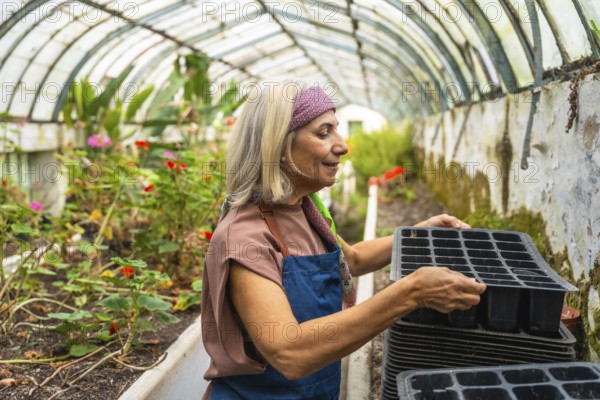 Senior woman smiling in a sunlit rustic greenhouse, carrying seedling trays while tending plants, enjoying gardening hobby and promoting sustainable, organic living and growth