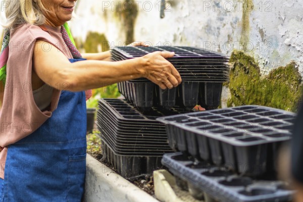 Senior woman carefully stacking black plastic seed trays, preparing for new plant seedlings in a home greenhouse environment, enjoying her gardening hobby
