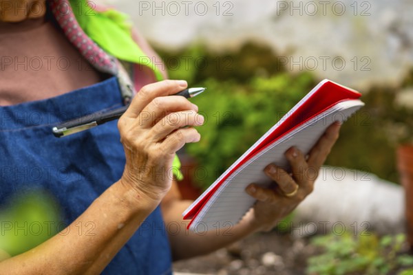 Senior woman in apron and colorful scarf writing in a notebook with pen while observing plants in a sunny, lush gardenpeaceful, active retirement pastime of learning and planning