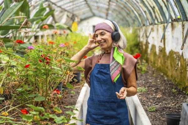 Senior woman in apron wearing headphones, smiling as she listens to music while tending potted plants in a rustic greenhouse, enjoying gardening and peaceful leisure