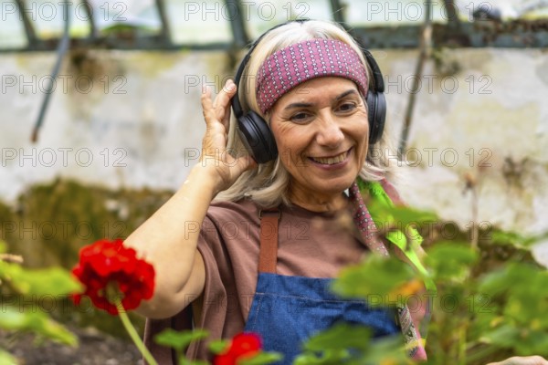 Senior woman wearing headphones and an apron, smiling happily while listening to music and working among plants in a sunny greenhouse, finding joy in her hobby