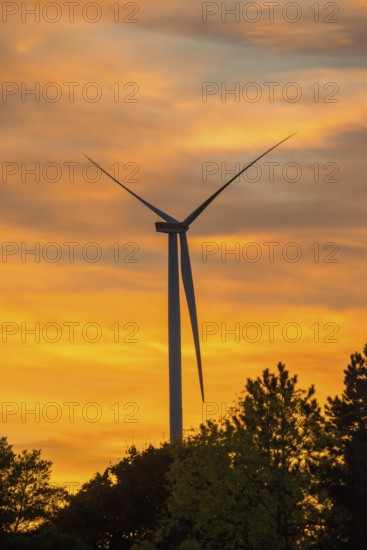 Stationary wind turbine, wind turbine, rotor blades and generator, silhouette, atmospheric sky in the evening, orange clouds at sunset, energy transition, energy, power generation, electricity, lull, calm, trees, Lüneburg district, Lower Saxony, Germany