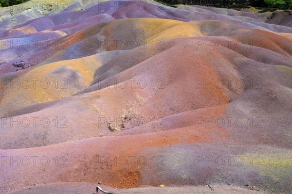Colourful sand hills in bright orange and purple in a wavy pattern. Africa, East Africa, Mauritius, Chamarel, Seven Coloured Earth