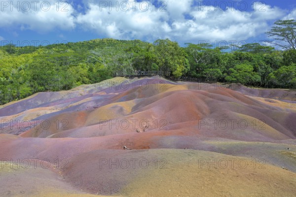 Bright red hills against thick tropical greenery under a clear sky in Mauritius. Africa, East Africa, Mauritius, Chamarel, Seven Coloured Earth