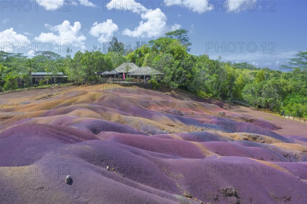 Colourful red and purple dunes in front of a tropical forest under blue skies in Mauritius. Africa, East Africa, Mauritius, Chamarel, Seven Coloured Earth