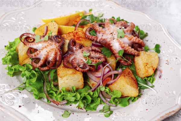Grilled octopus with baked potatoes and fresh herbs, on a decorative light plate, homemade, no people