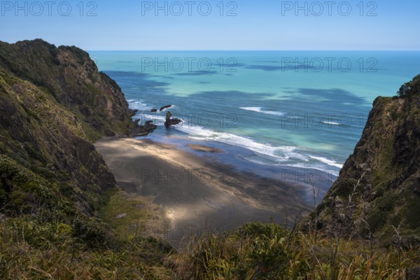 Landscape in New Zealand with sea and sandy beach. View of Mercer Bay. Mercer Bay Loop Walk hiking trail. Mercer Bay, Waitakere Ranges, West Auckland, New Zealand
