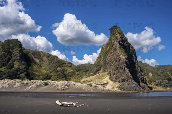 Landscape in New Zealand with sandy beach. Karekare Beach and The Watchman Rock. Karekare, Waitakere Ranges, West Auckland, New Zealand