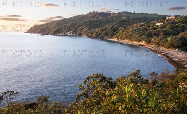 Landscape and sea in New Zealand. View of Te Karo Bay (Sailors Grave) in the morning at sunrise. Te Karo Bay, Tairua, Coromandel Peninsula, Waikato, New Zealand
