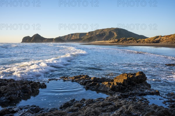 Landscape in New Zealand with sea and sandy beach. Bethells Beach (Te Henga), evening, golden hour. Bethells Beach, Waitakere Ranges, West Auckland, New Zealand