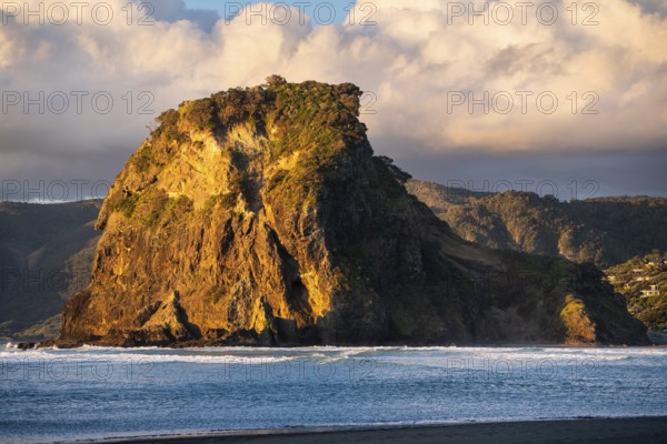 Landscape in New Zealand with sea and beach. Piha Beach and Lion Rock. In the evening, golden hour. Piha, Waitakere Ranges, West Auckland, New Zealand