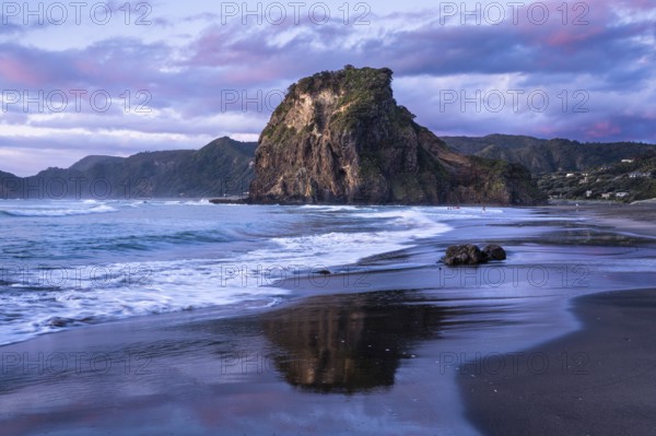 Landscape in New Zealand with sea and sandy beach. Piha Beach and Lion Rock. Surfers in water. In the evening after sunset. Piha, Waitakere Ranges, West Auckland, New Zealand