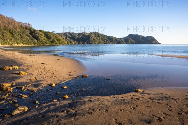 Landscape with sea and sandy beach in New Zealand. In the morning, golden hour. Otara Bay, Coromandel Peninsula, Waikato, New Zealand