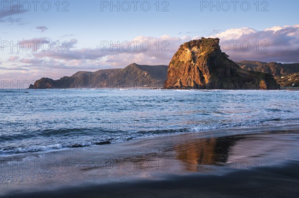 Landscape in New Zealand with sea and sandy beach. Piha Beach and Lion Rock. Surfers in water. Evening, golden hour, sunset. Piha, Waitakere Ranges, West Auckland, New Zealand