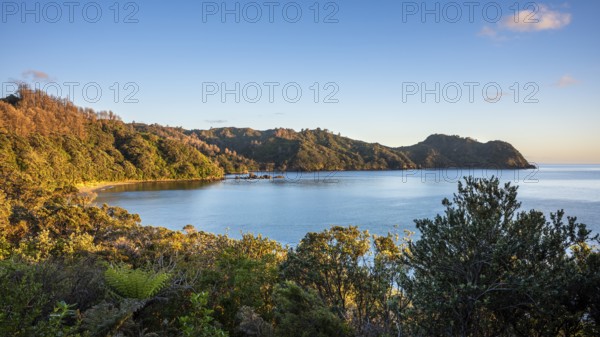 Landscape and sea in New Zealand. View of Otara Bay in the morning at sunrise, golden hour. Otara Bay, Coromandel Peninsula, Waikato, New Zealand