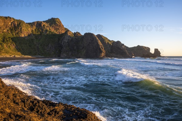 Landscape in New Zealand with sea and beach. Wigmore Bay near Bethell's Beach (Te Henga) . In the evening, golden hour. Waitakere Ranges, West Auckland, New Zealand