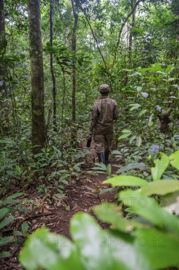 Ranger running in the jungle, Kibale National Park, Uganda