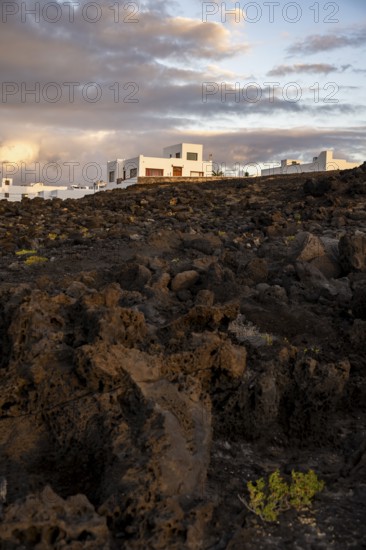 Black coast of volcanic rocks behind typical white houses of the village of La Santa, at sunset, Lanzarote, Canary Islands, Spain