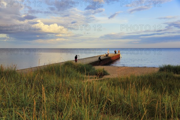 Coastline with beach, grasses on the shore, bathers at the jetty, summer in Ystad, evening sun, Baltic Sea, Sweden
